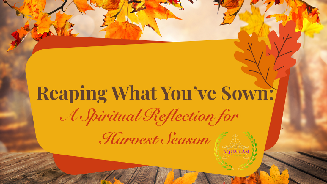 Reaping What You’ve Sown: A Spiritual Reflection for Harvest Season